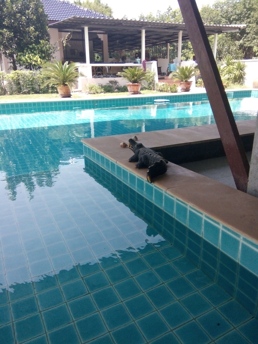 IMG20170422135113.jpg