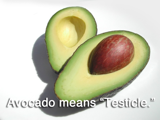 funfacts.jpg.aa628070c87795bb52feb3063b7b2bf8.jpg