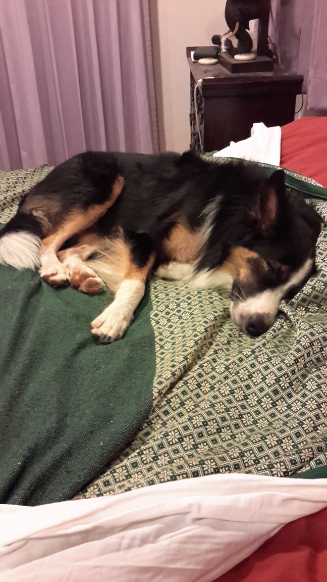 20160602_004013.jpg