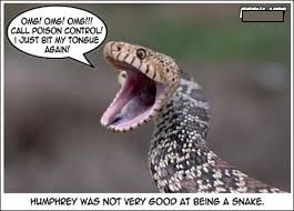 5909c0c1b4402_bittoungesnake.jpg.454c2e8e7a492de12a4e875df11d79c8.jpg