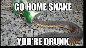 5909c12a4e0e7_drunksnake.jpg.070e1d57990c112a96a5cb426b97c581.jpg