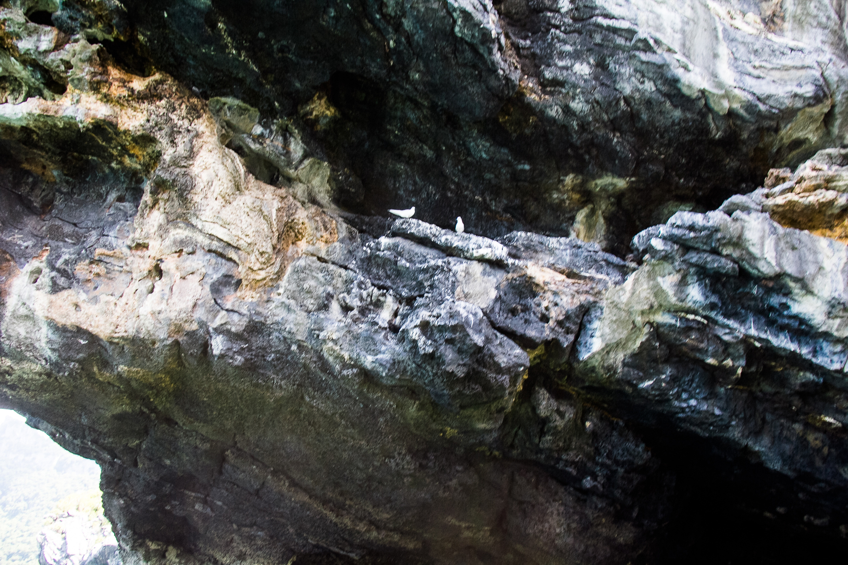 Angthong Marine Park May 2017-0064-2.jpg