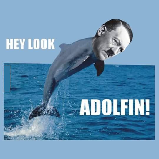 590a8f558aa26_Adolfinok.jpg.e4fb82c789c37bf59f763e02ac2a647b.jpg