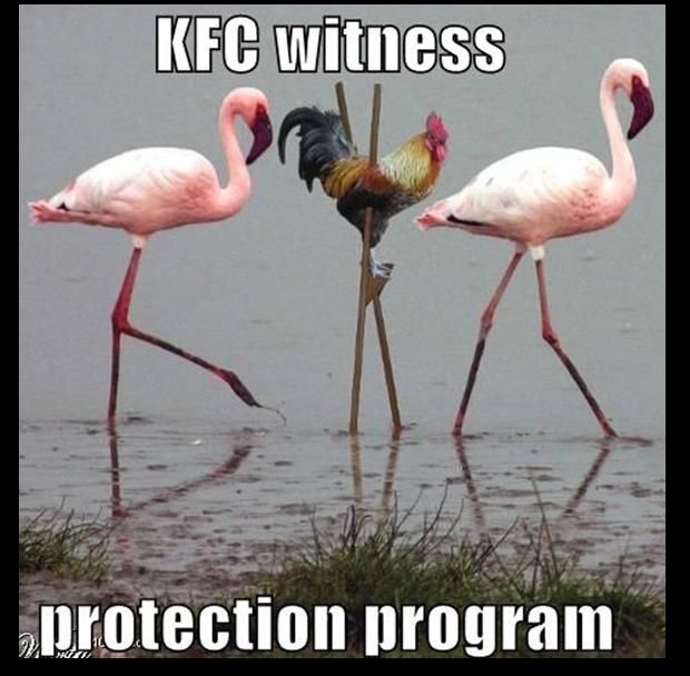 590c2cfe865f1_kfcprotection.jpg.bc241929530fe0cd39da2a5b1fee4685.jpg