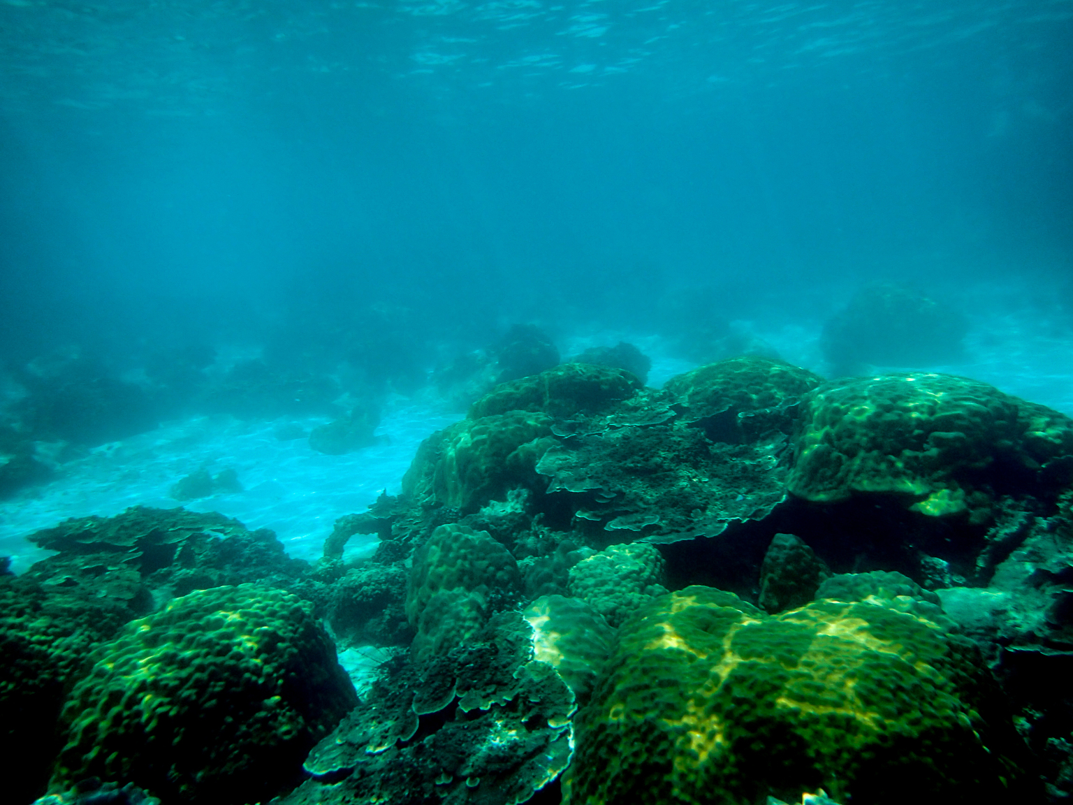 Angthong Marine Park May 2017-5030021.jpg