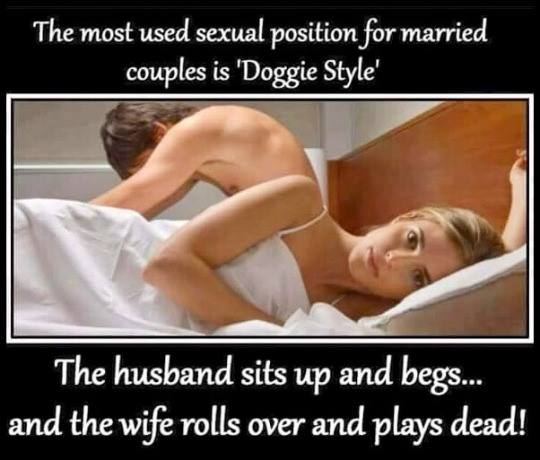 59153398d336f_1doggieposition.jpg.1f1a6b74b44cf9b18d7da69d8e0cbdd5.jpg
