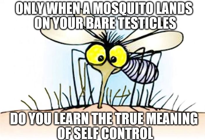 591c142c37b76_mosquitoselfcontrol.jpg.fad8dd54fba75e32922c2e206d7bd691.jpg