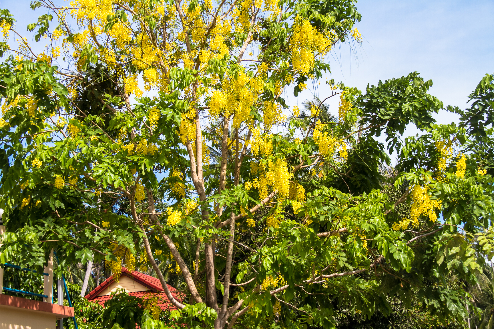 Koh Phangan -2-179.jpg