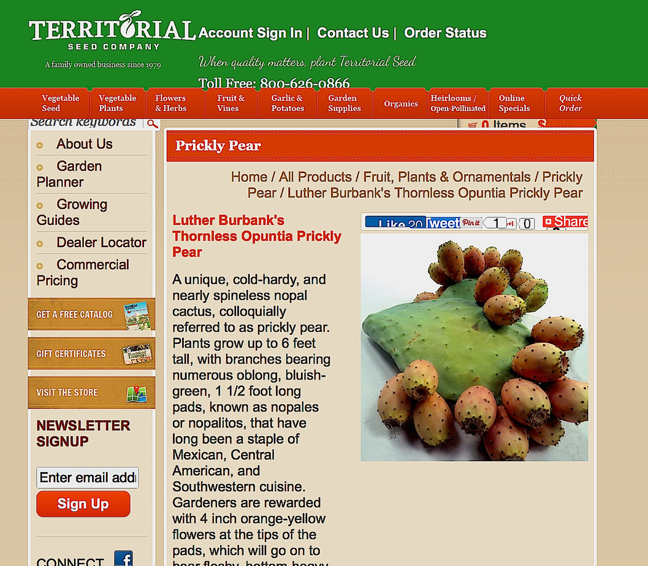 Terrtial seeds.png