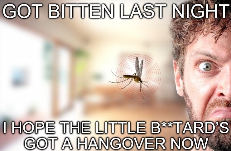 592541eef248a_mosquitobite.jpg.96700d4768a1fb7ff92133e76192cb80.jpg