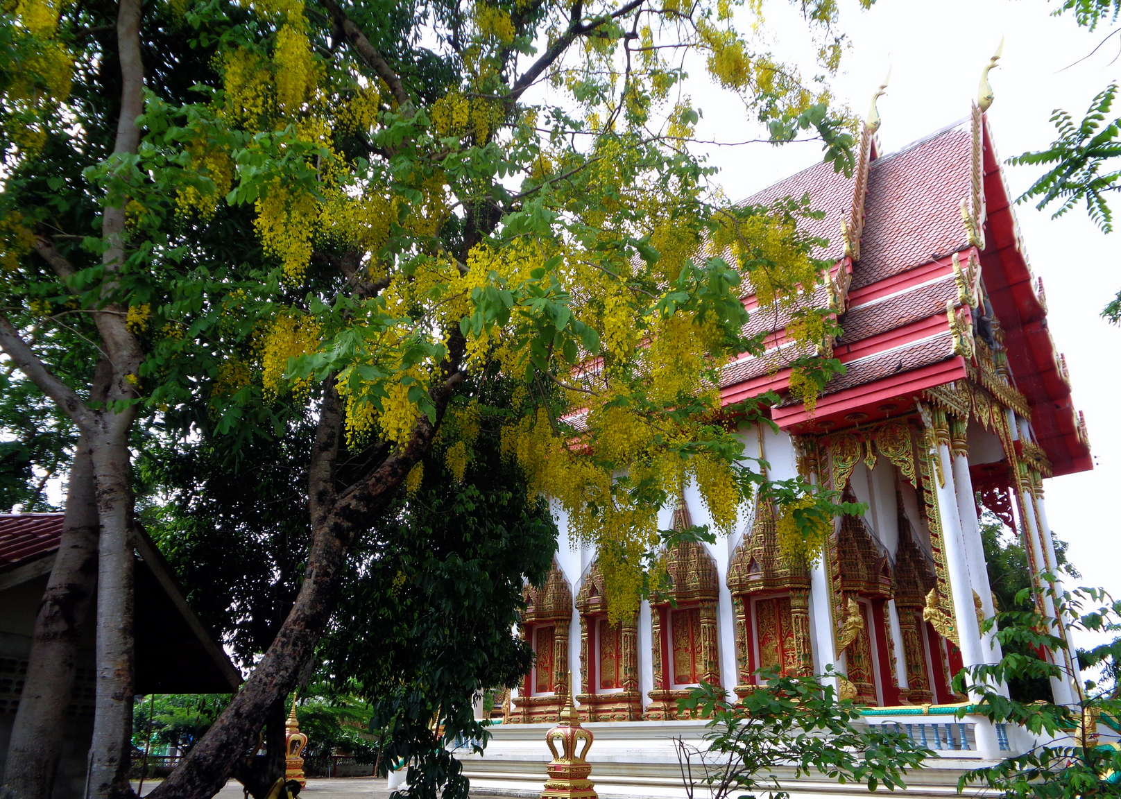 DSC00893_1.jpg