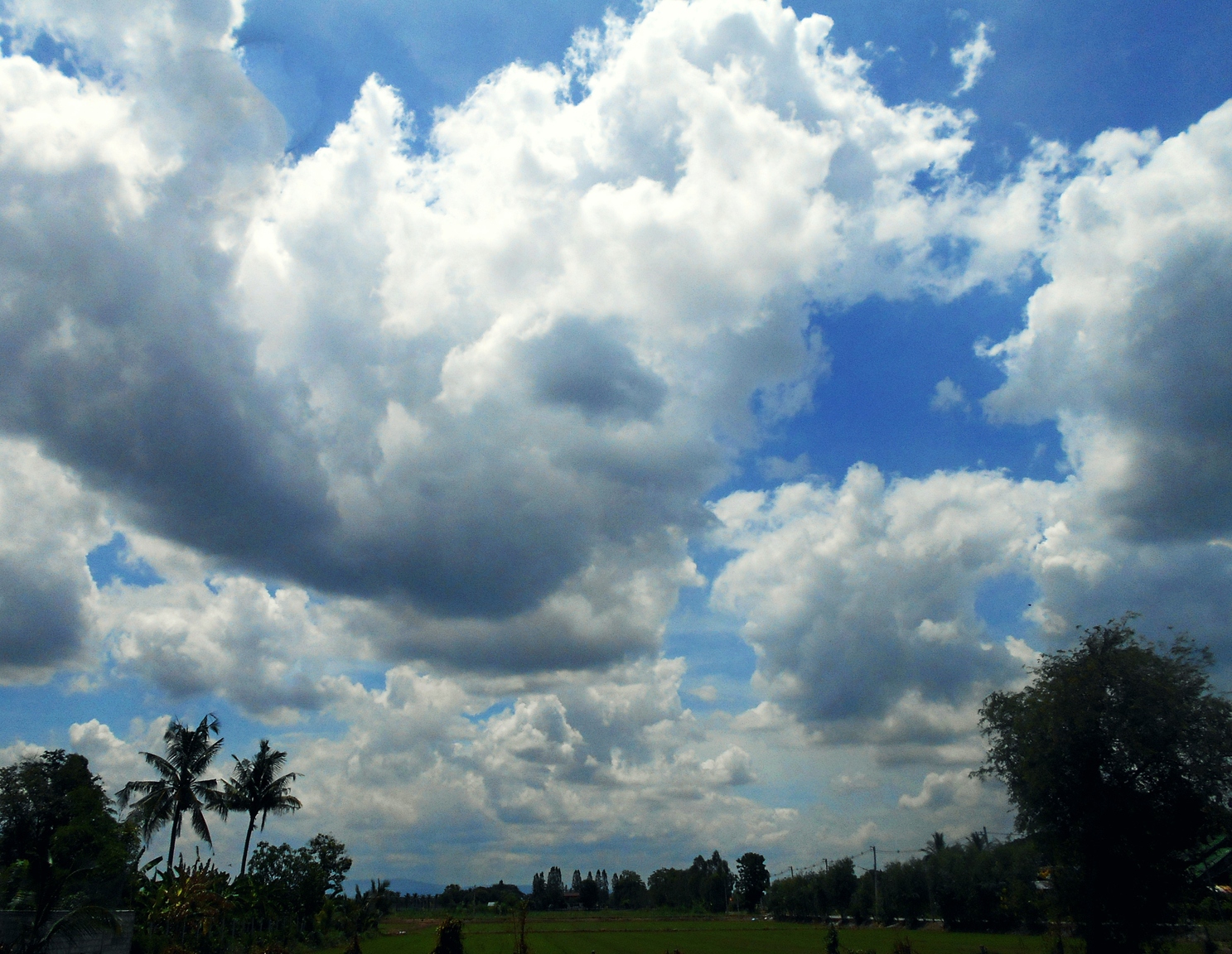 DSCN0125.JPG