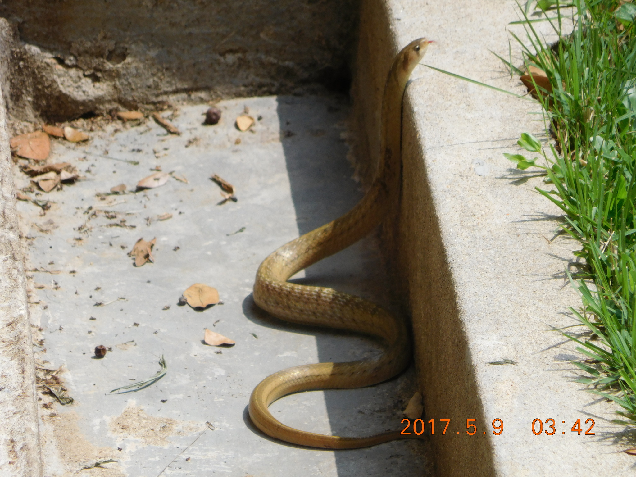 DSCN2870.JPG