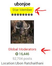 ThaiVisa_Member_Status.JPG.86d263729efc389fbd8dd83013dadf6f.JPG