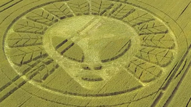 alien-crop-circle.jpg.f3f36274a8172821b705e08418e93730.jpg