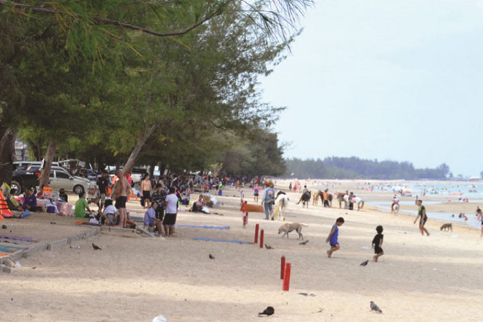 beach-calming-cha.jpg