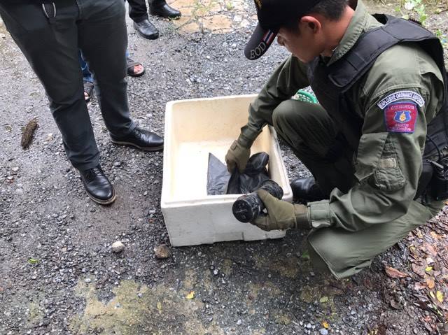 bomb2.jpg