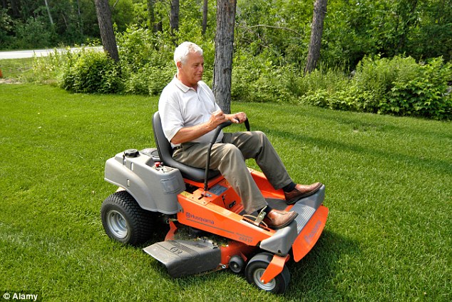 lawn.jpg.d456f3662ef67838b3aefb94ecf8cc27.jpg