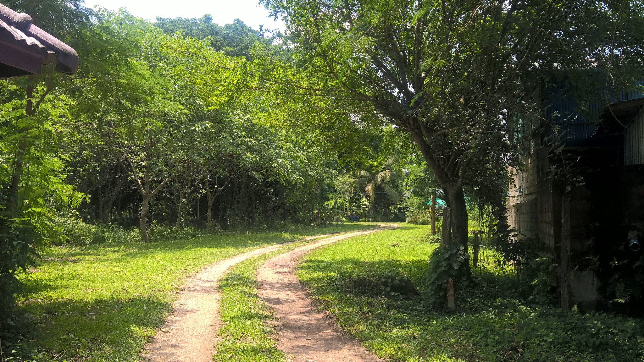 pic1.jpg