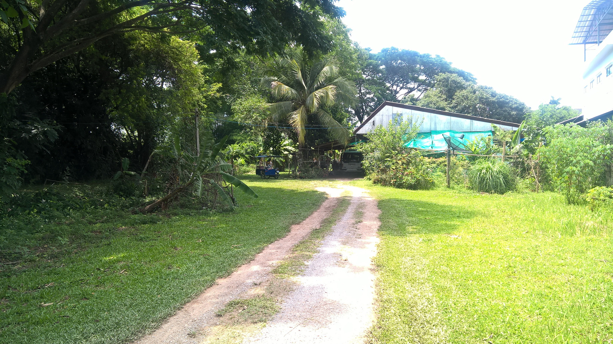pic2.jpg