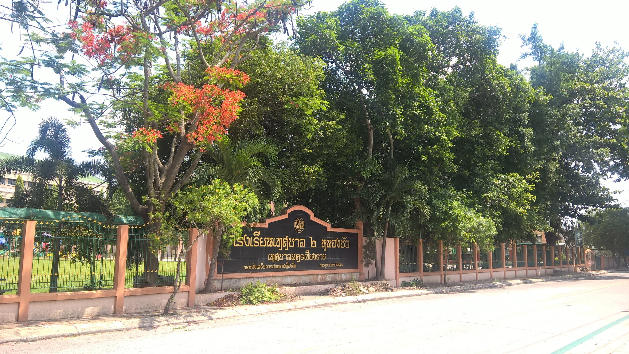 pic4.jpg