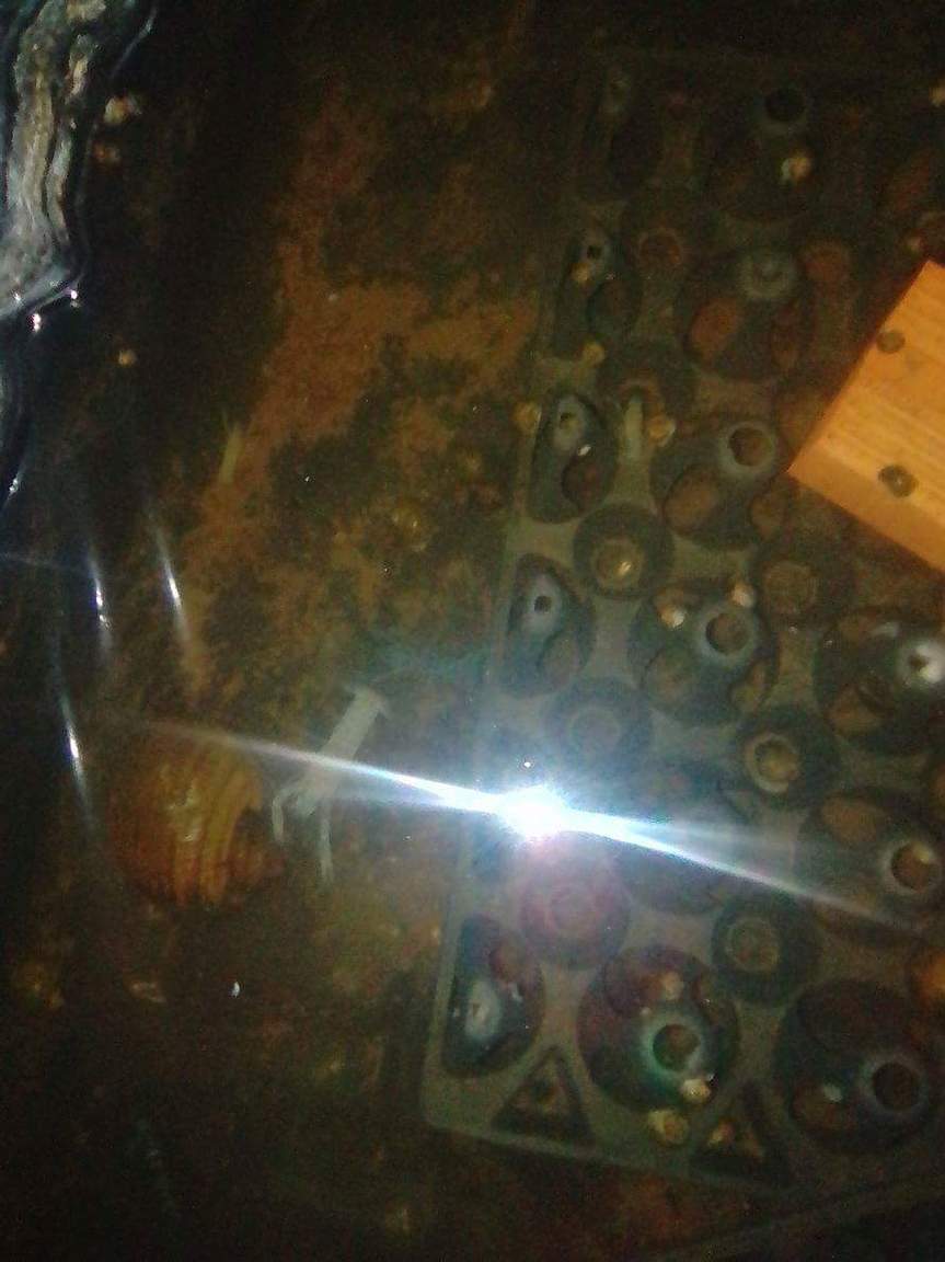 received_172179123309112.jpeg