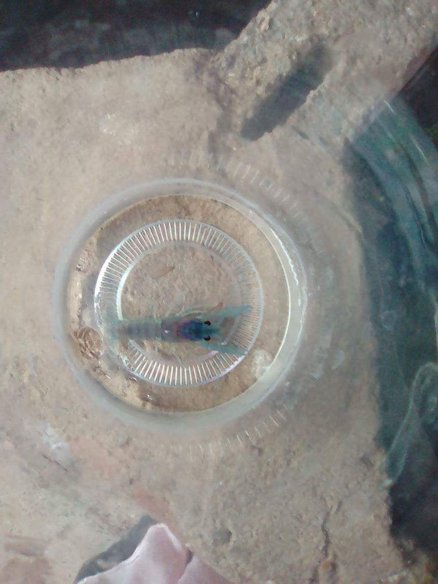 received_174085446451813.jpeg