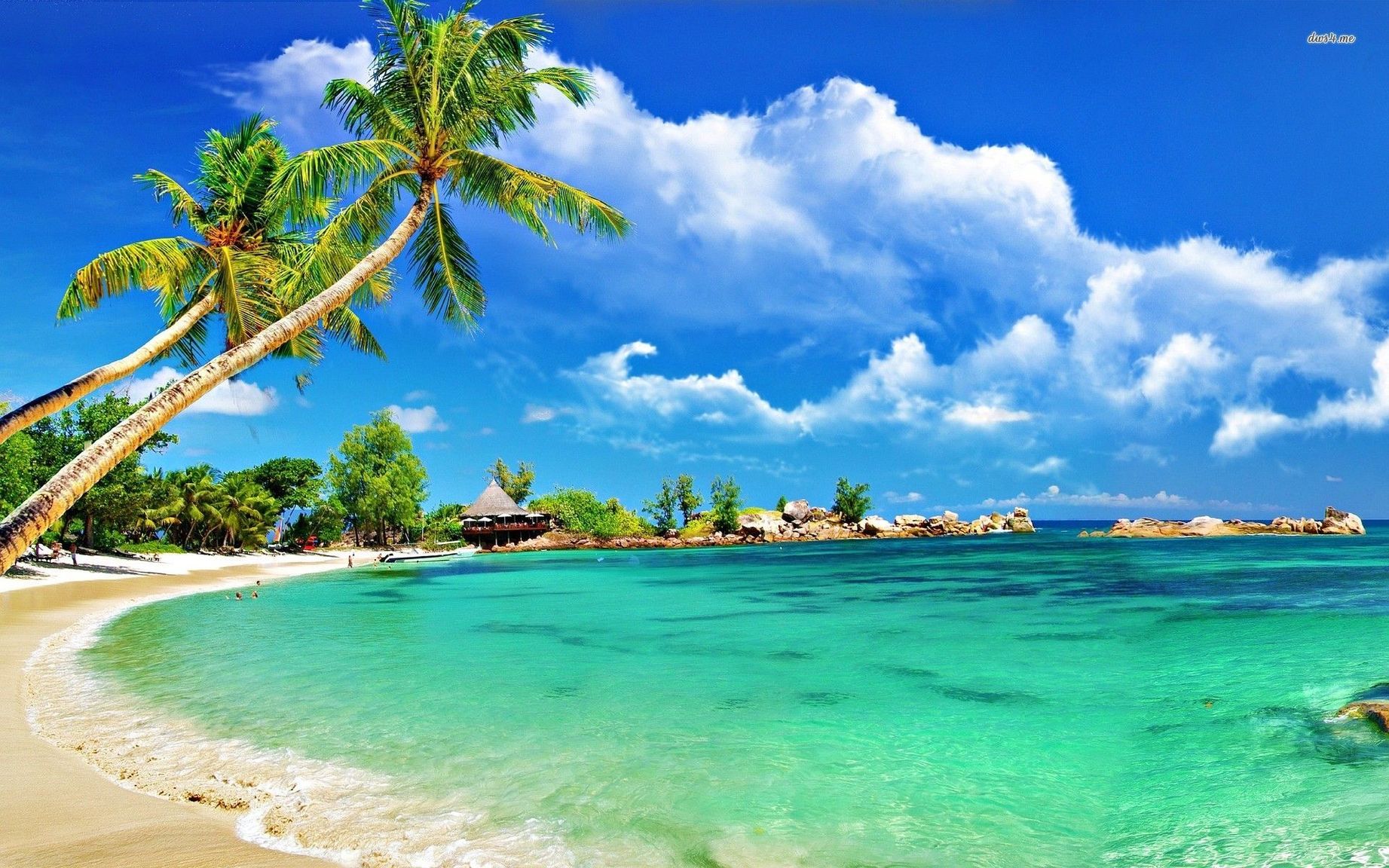 tropical-beach-wallpapers-tropical-beach-wallpaper-hd-1080p-11-hd-wallpapers-lzamgs.jpg