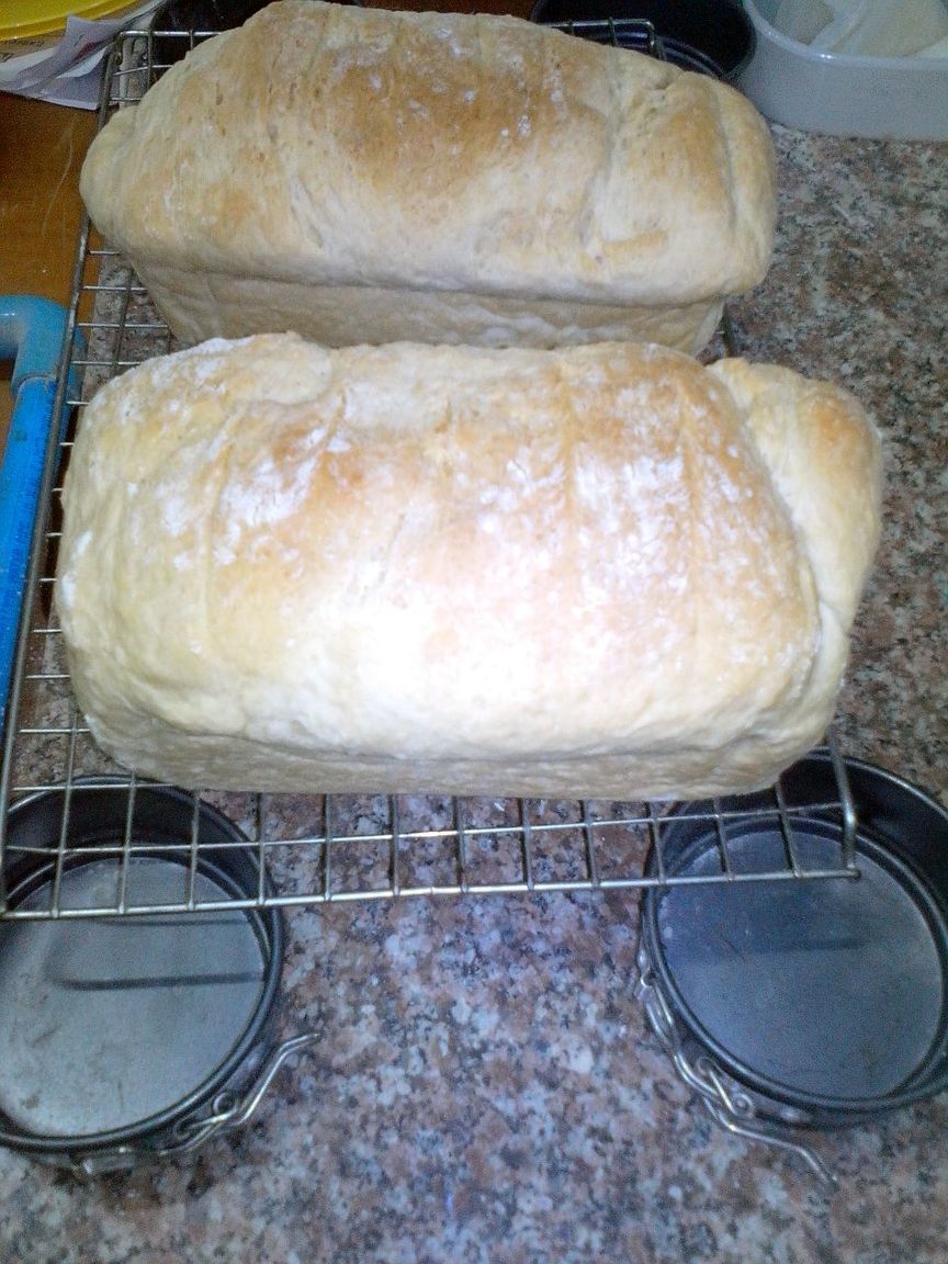 IMG_20170601_165755 resized.jpg