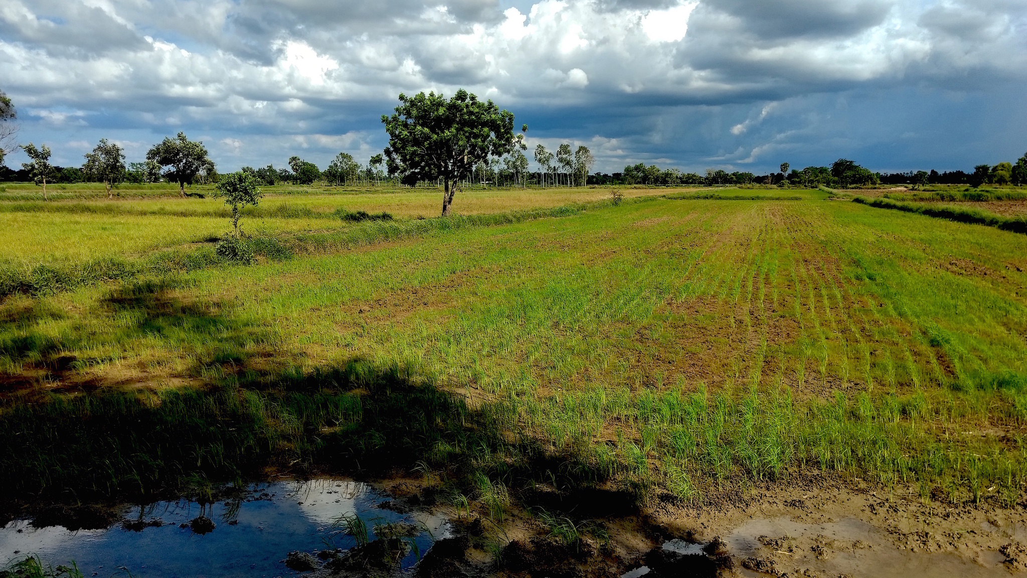 IMG_20170604_153444365_HDR copy.jpg