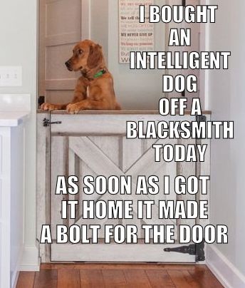 5937c8184ceab_dogdoorboltuse.jpg.75290fee60e185d996fc0d885e31a16d.jpg