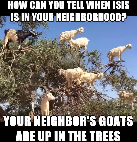 593bbd9cb4f5a_isisgoats.jpg.dfcf6e153ee214bf6183173cdbe69ebf.jpg