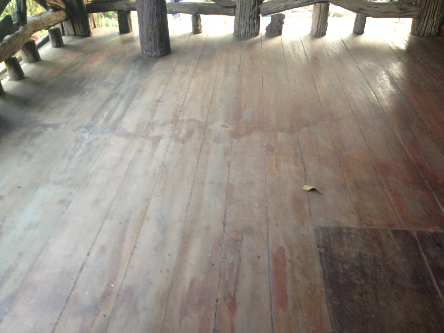 IPHONE5PICS. 1796.jpg