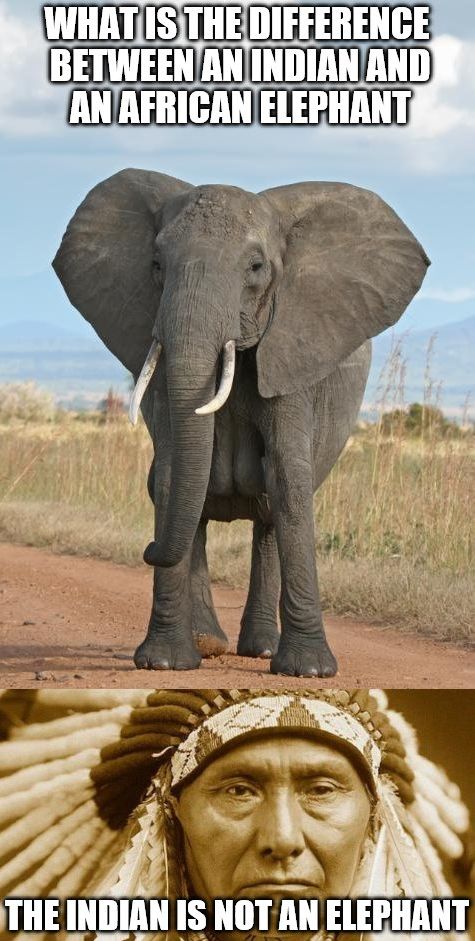 594a0cec77b75_elephantindian.jpg.f4233fc5b784f1b2fa809a37e5d93e33.jpg