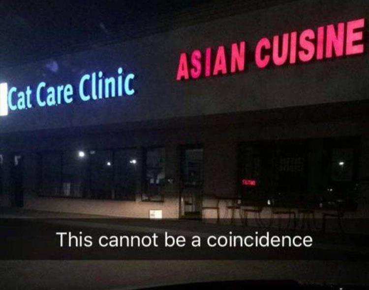 5955e7d5824ae_asiancatquisine.jpg.cc03d7bc4bd648aaa0ea15dec0b7b2e4.jpg