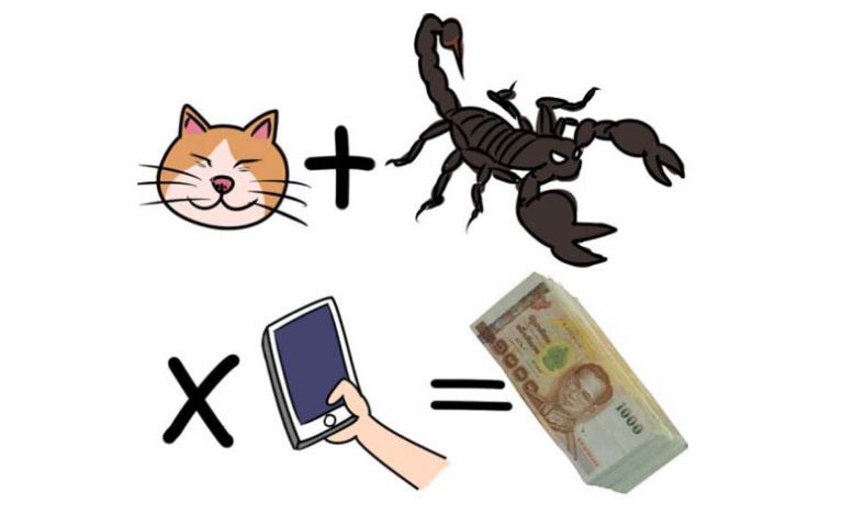 65.JPG