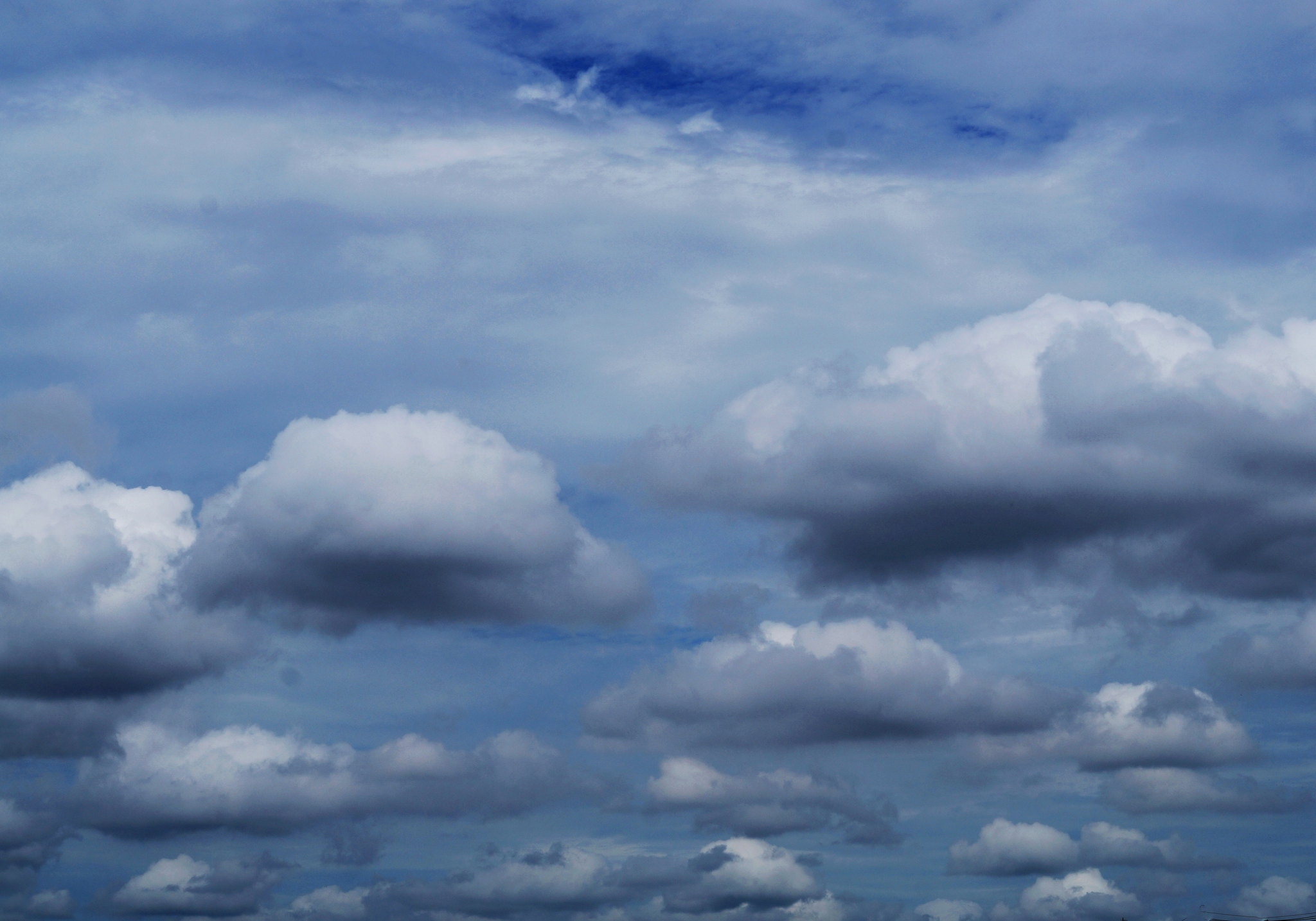 DSC00009.JPG