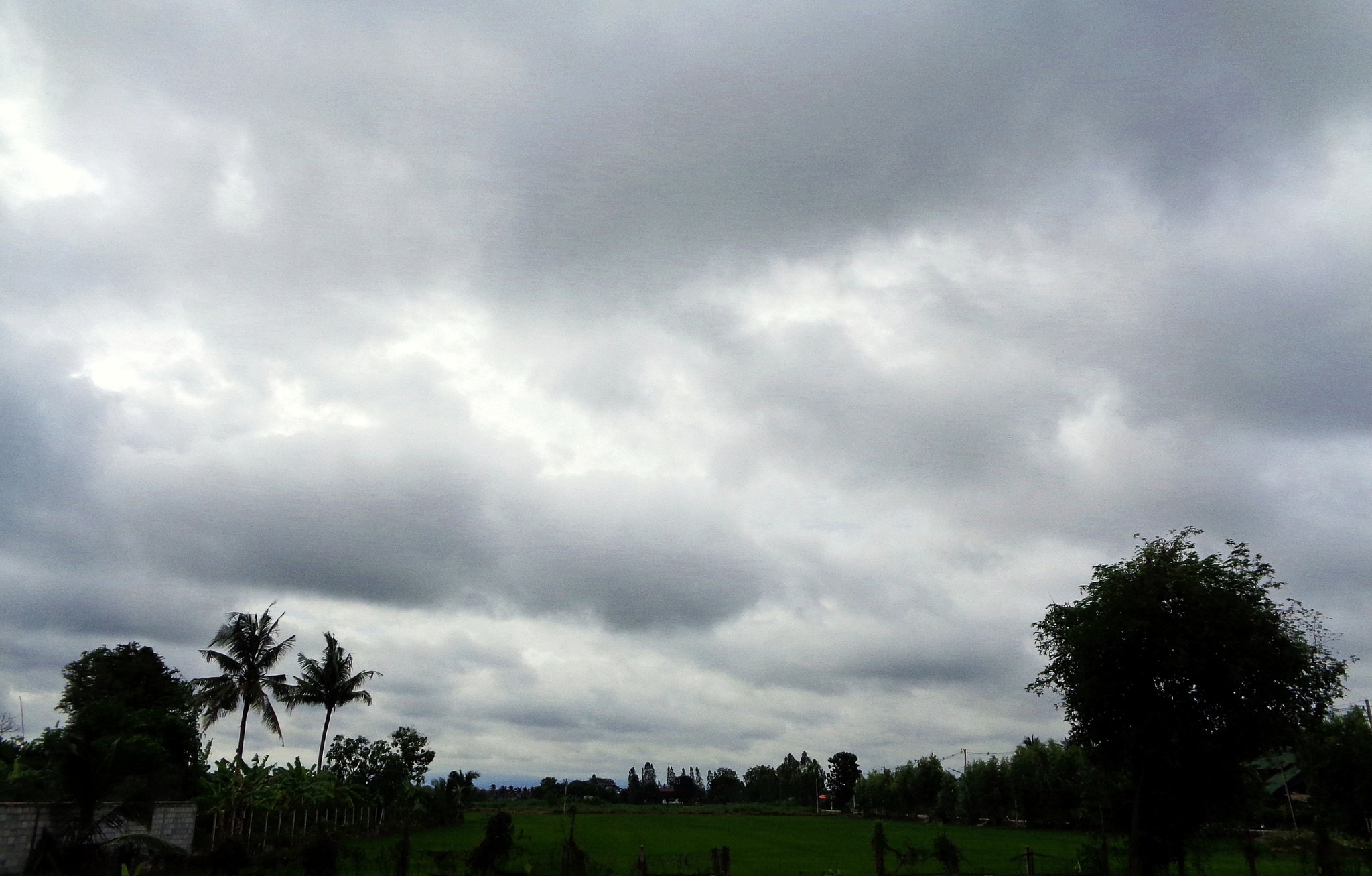 DSC01273.JPG