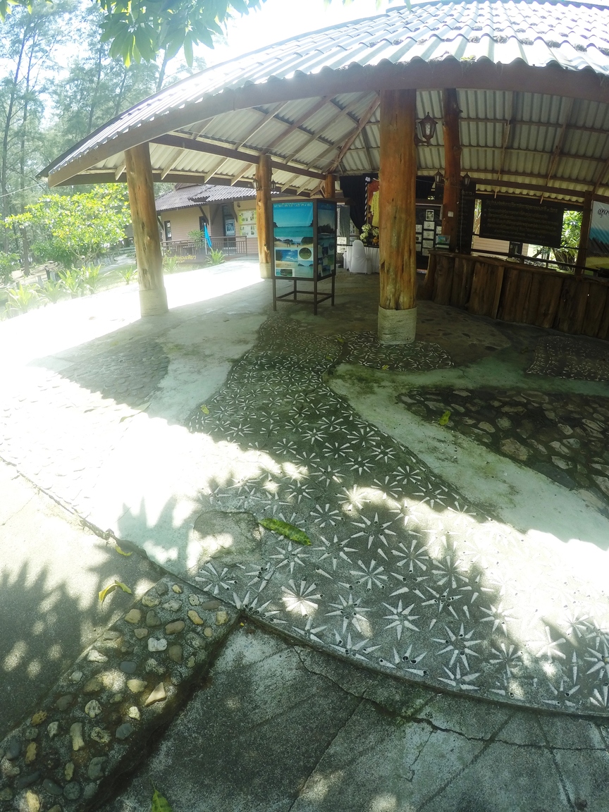 GOPR0537.JPG