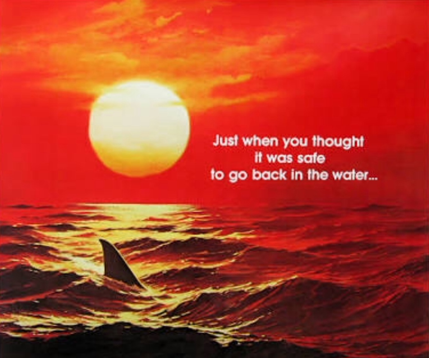 IMG_4063.PNG