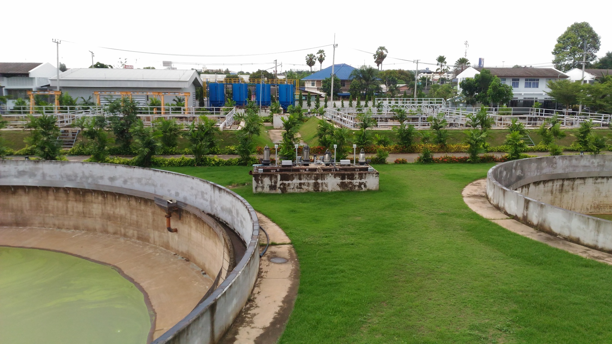P_20170516_101340.thumb.jpg.b94648f5e49471d492ac0b0b9a9b7a34.jpg