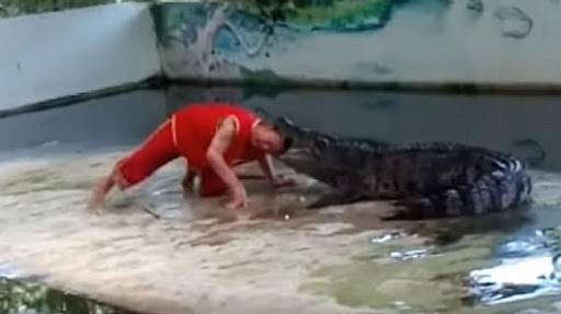 croc-samui.jpeg