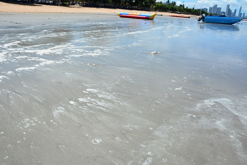 p3.jpg