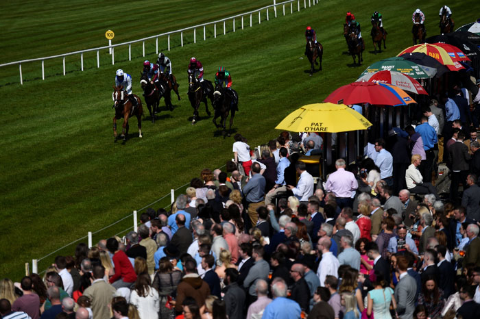 2017-07-26T121901Z_2_LYNXMPED6P151_RTROPTP_4_BRITAIN-EU-IRELAND-HORSERACING.JPG