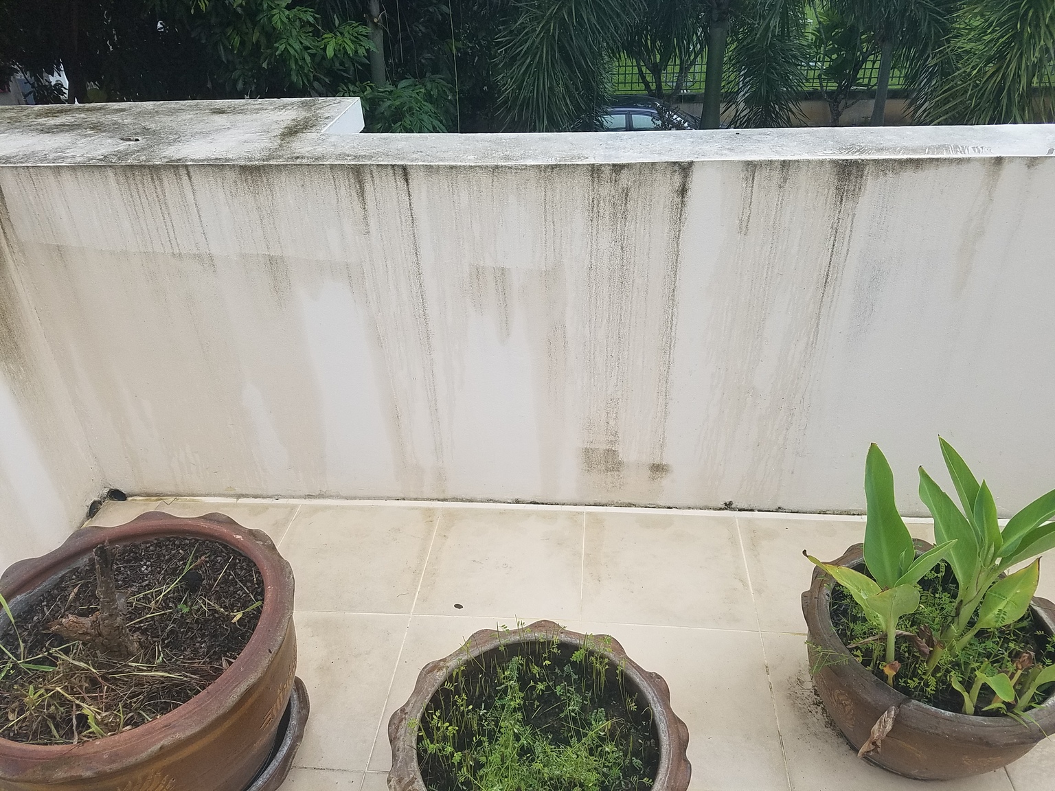 20170702_132956.jpg