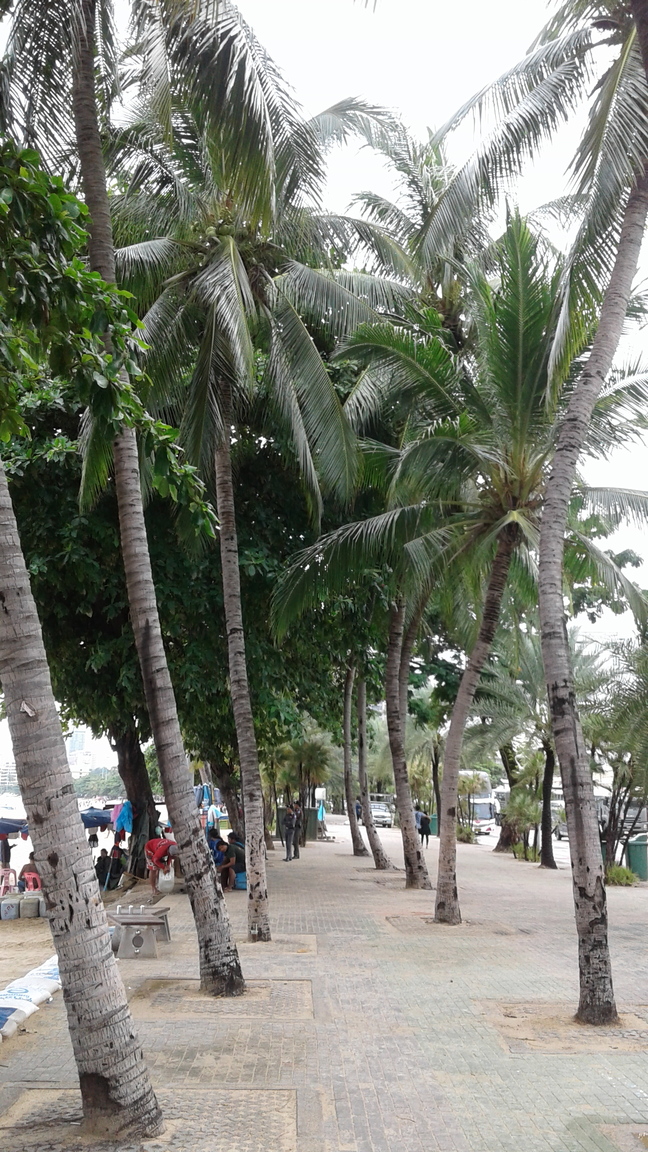 20170719_103515.jpg