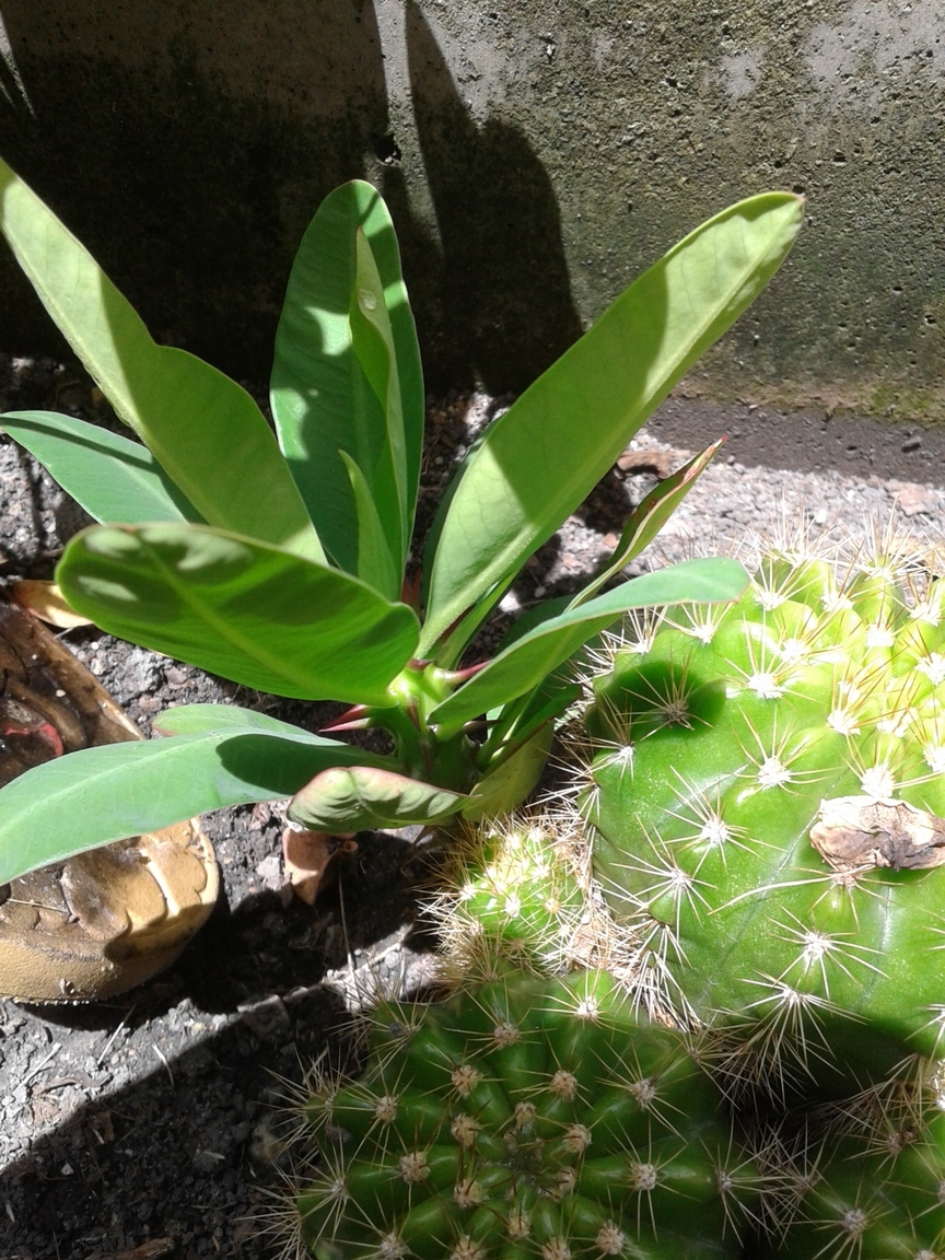 20170724_131148.jpg