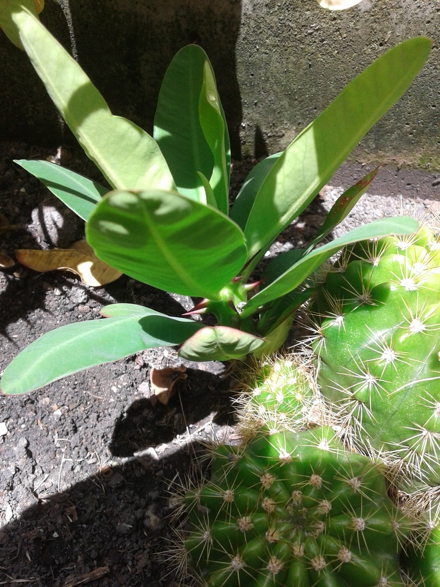 20170724_131201.jpg