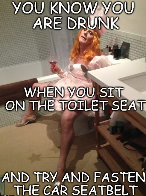 595a14f0529e0_drunkseatbelt.jpg.c72ed2c726e357f285bd9e9b7cbd8323.jpg
