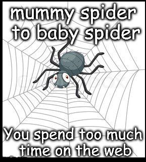 595c5185e03f0_spiderweb.jpg.5c9d3912b86d6bcdab4b622248944d40.jpg